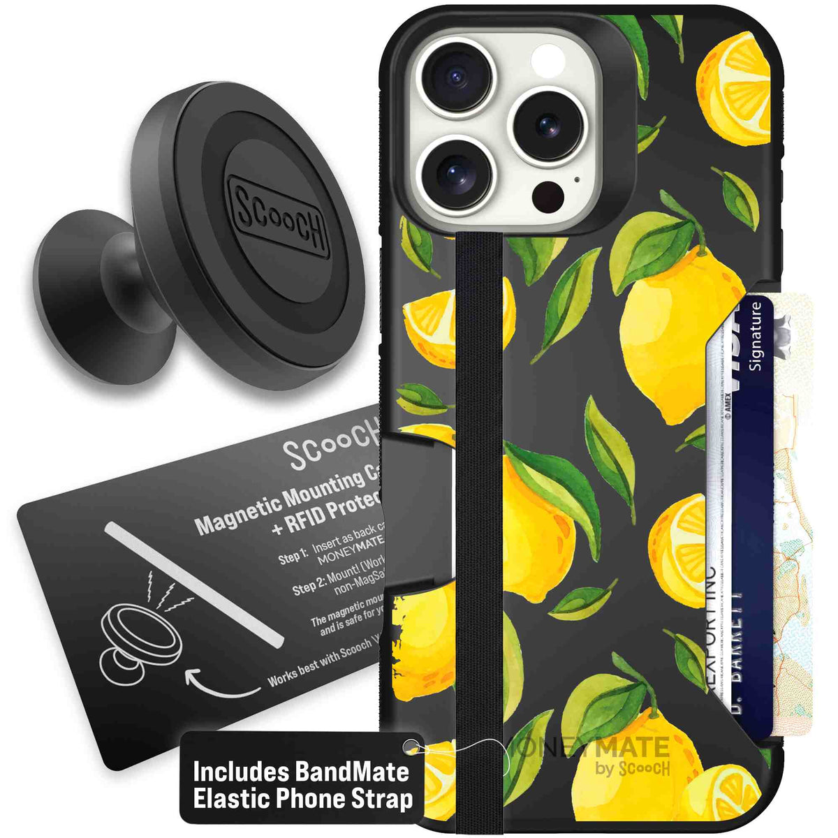 Amalfi Lemons | website | iPhone 16 Pro Max | Starter Bundle